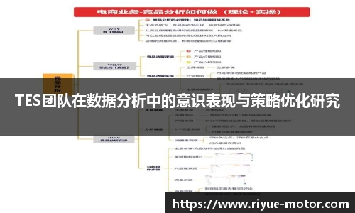 TES团队在数据分析中的意识表现与策略优化研究